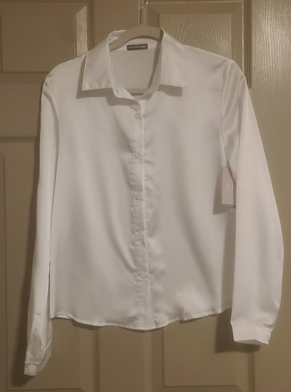 Solid Satin Blouse